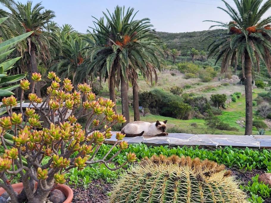 Casa Tara Ruhe Und Entspannung, Natur Pur Acardece Exterior photo